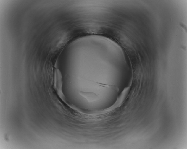 X0000098210031200804241331