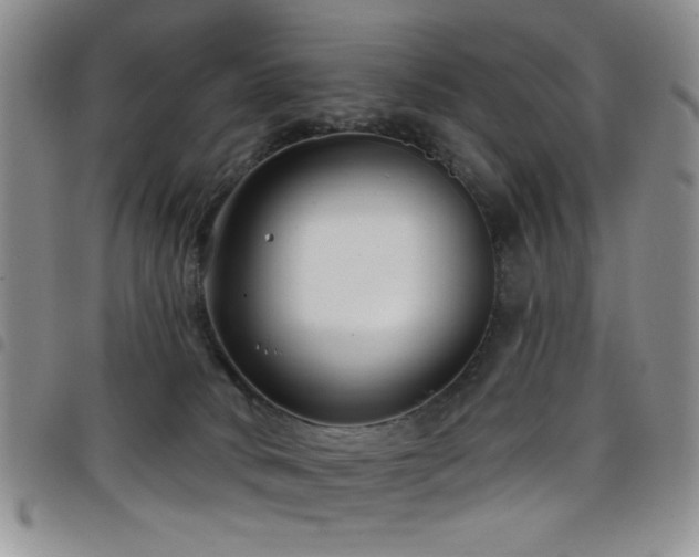 X0000098210034200804241331