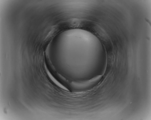 X0000098210035200804241331
