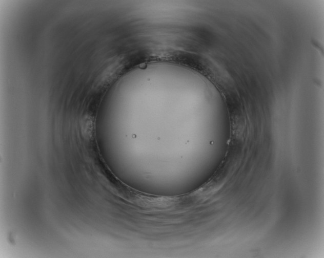X0000098210036200804241331