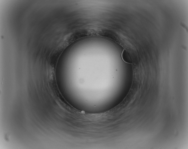 X0000098210038200804241331