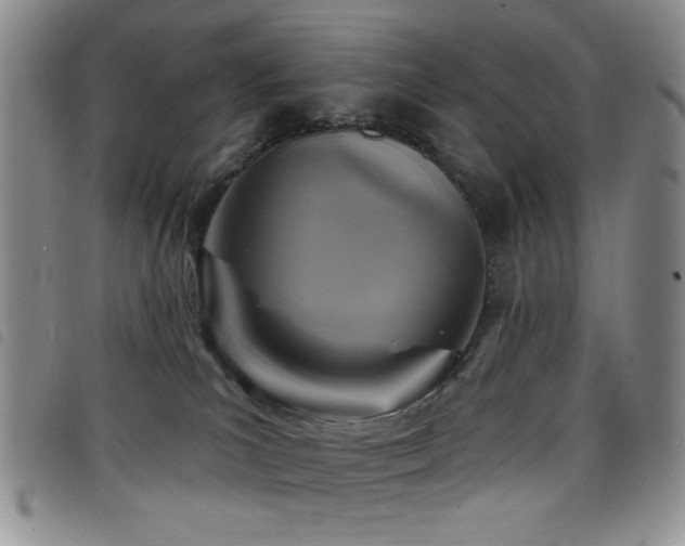 X0000098210039200804241331