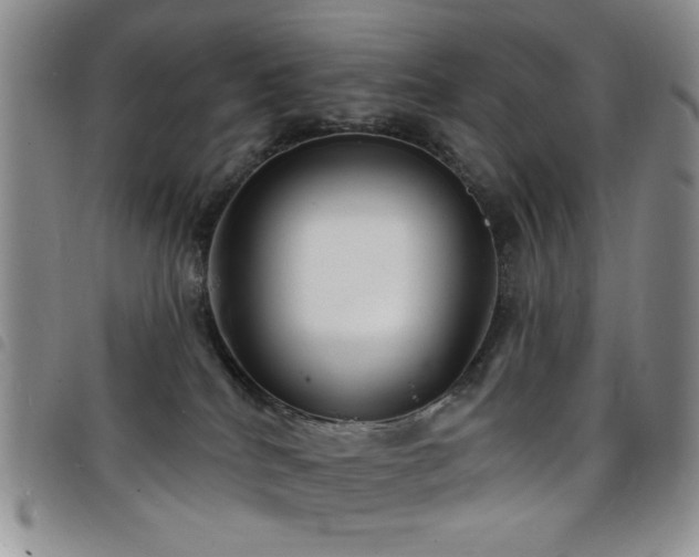 X0000098210040200804241331