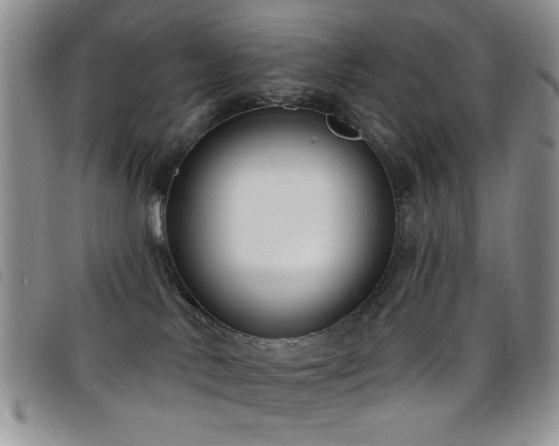 X0000098210042200804241331