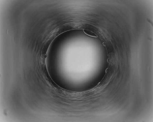 X0000098210044200804241331