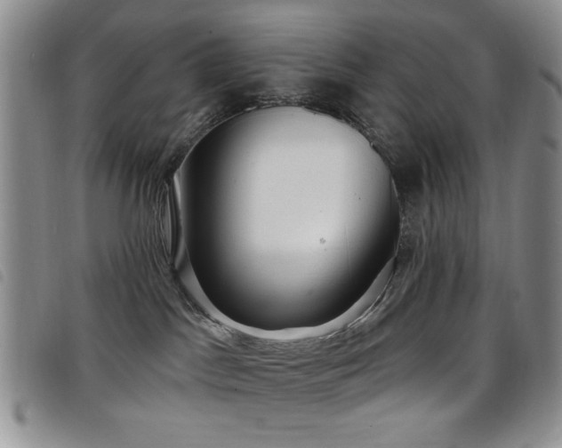 X0000098210045200804241331