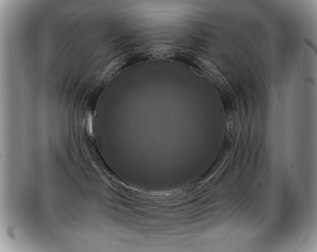 X0000098210046200804241331