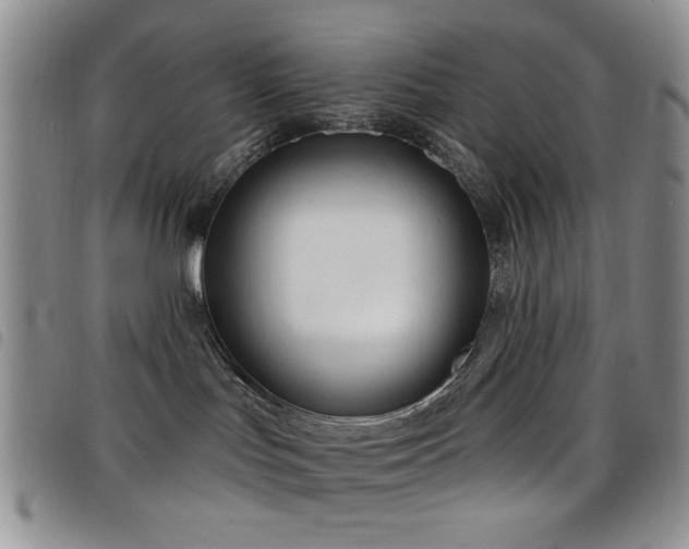 X0000098210047200804241331