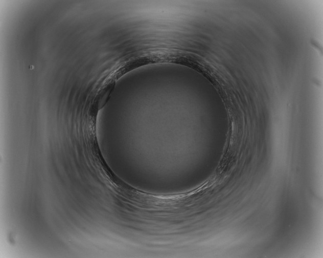 X0000098210048200804241331