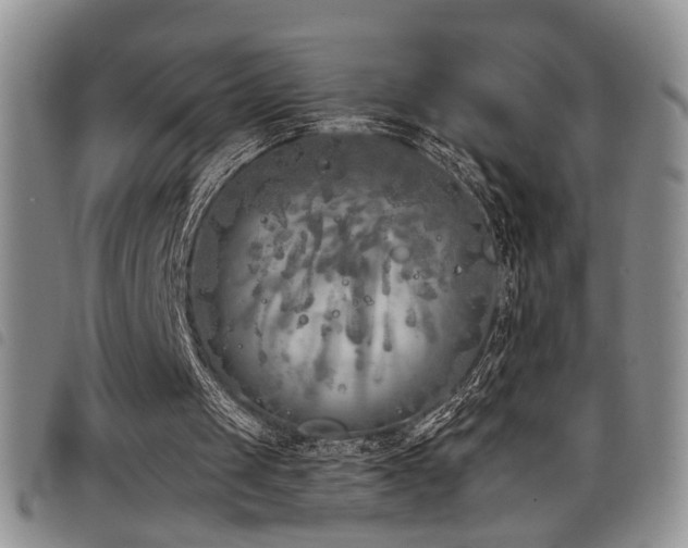 X0000098210049200804241330