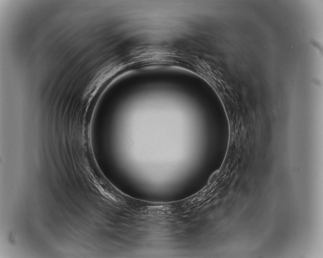 X0000098210050200804241330