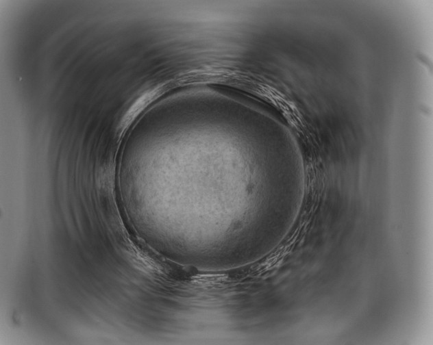 X0000098210051200804241330