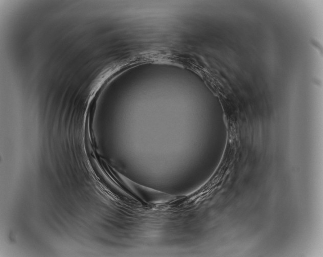 X0000098210052200804241330