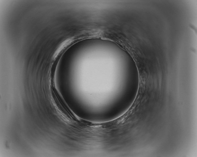 X0000098210054200804241330