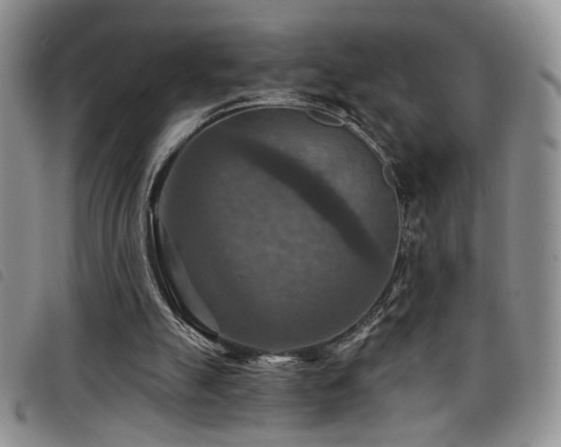 X0000098210055200804241330