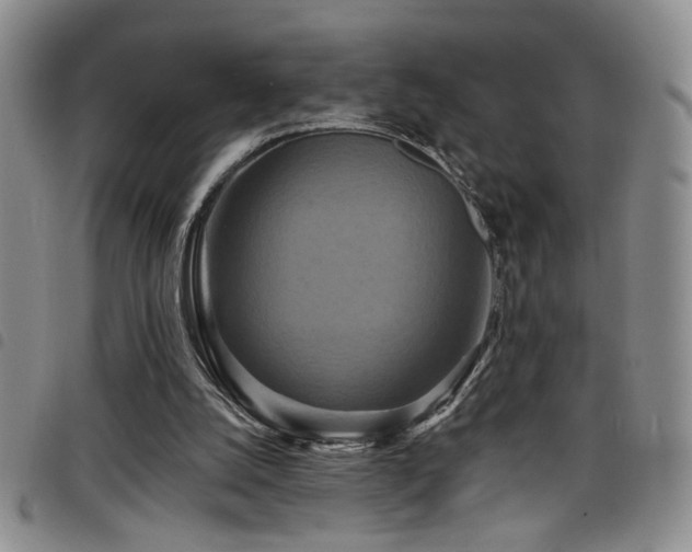 X0000098210056200804241330