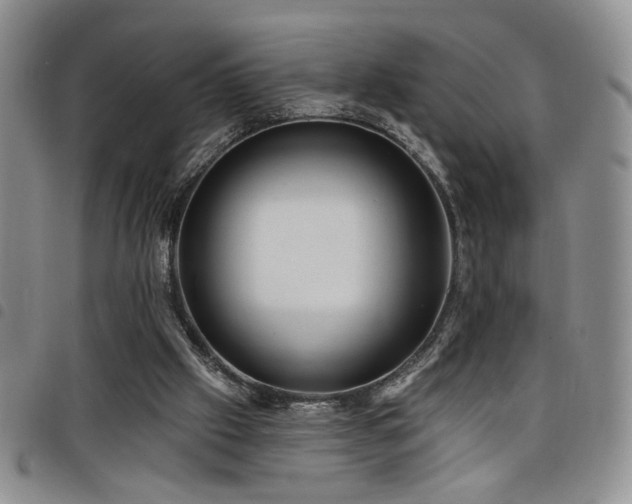 X0000098210057200804241330