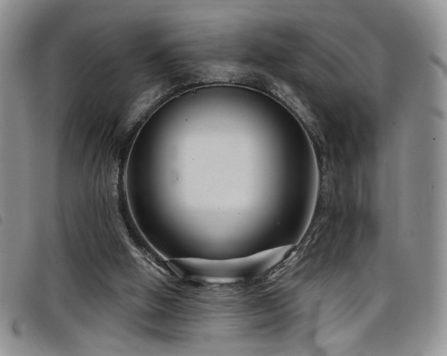X0000098210058200804241330