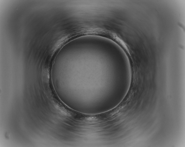 X0000098210059200804241330