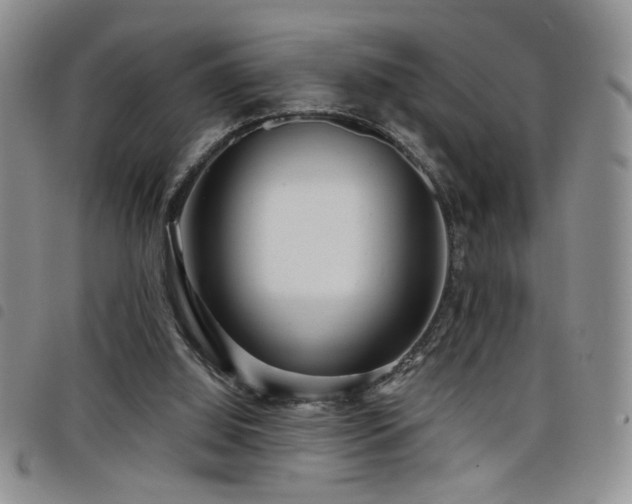 X0000098210060200804241330