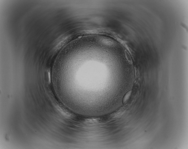 X0000098210061200804241330