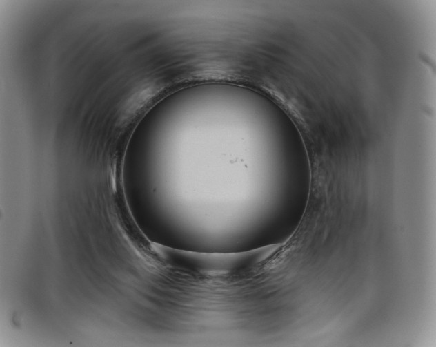X0000098210062200804241330