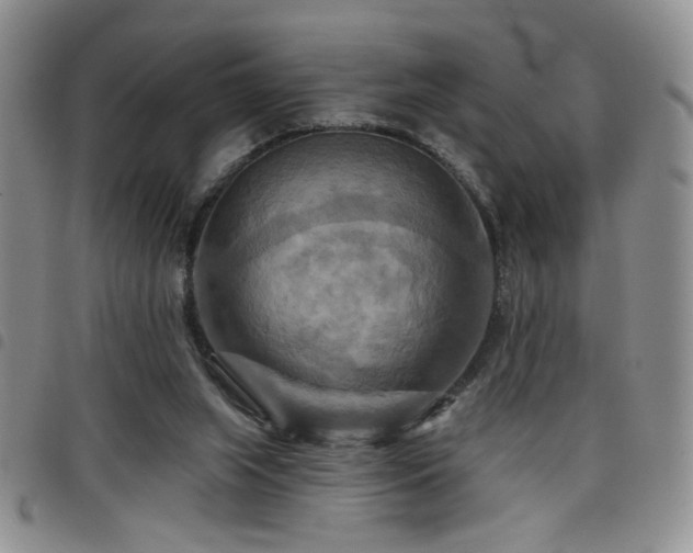 X0000098210063200804241330
