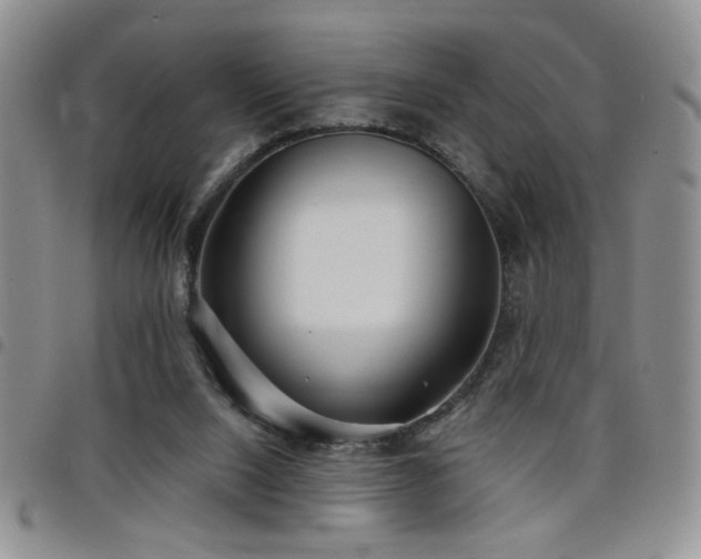 X0000098210064200804241330