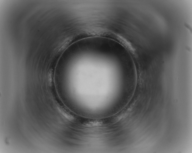 X0000098210065200804241330