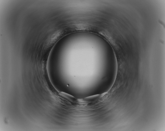 X0000098210066200804241330
