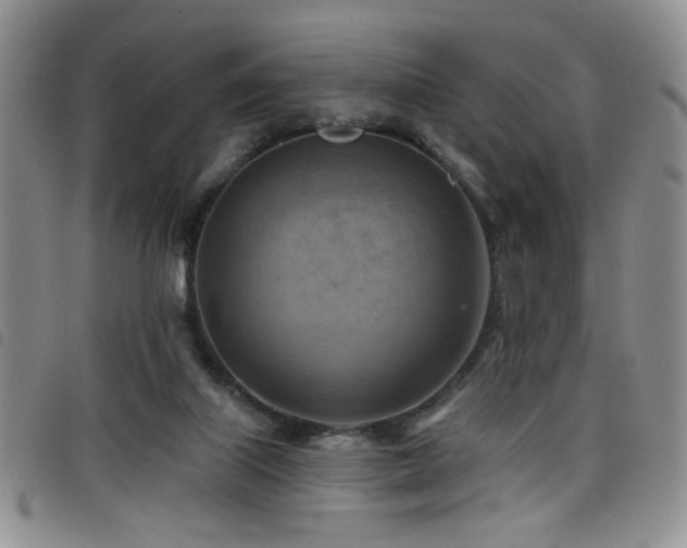 X0000098210067200804241330