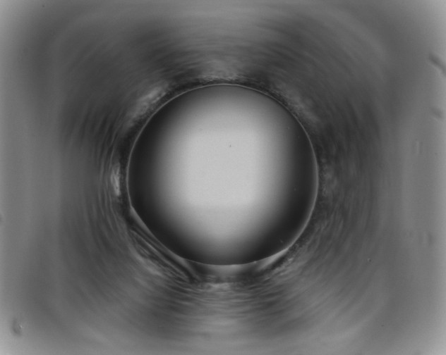 X0000098210068200804241331