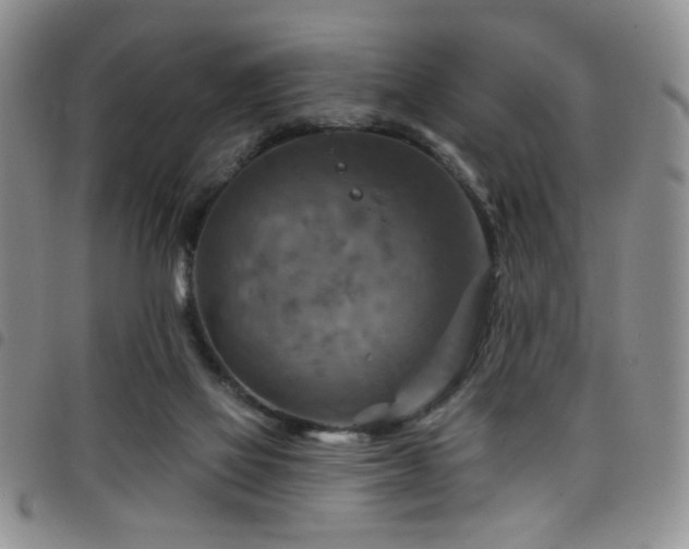 X0000098210069200804241331