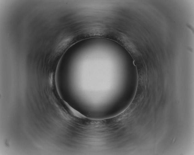 X0000098210070200804241331