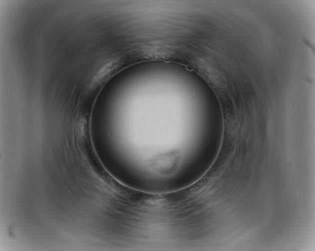 X0000098210071200804241331