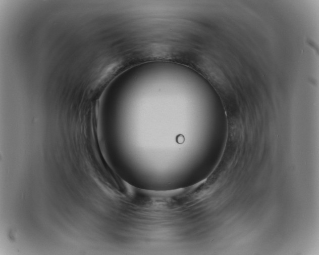 X0000098210072200804241331