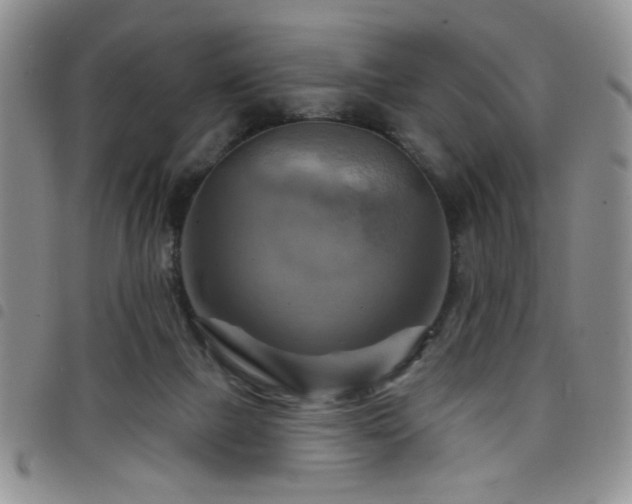 X0000098210073200804241331