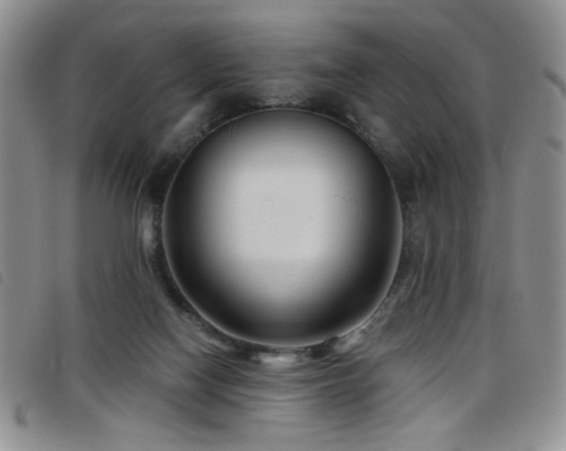 X0000098210074200804241331