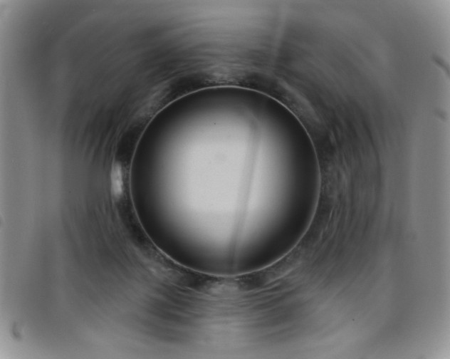 X0000098210075200804241331