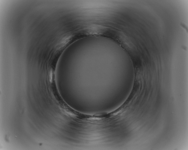 X0000098210076200804241331