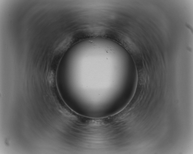 X0000098210077200804241331