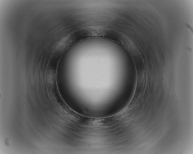 X0000098210078200804241331