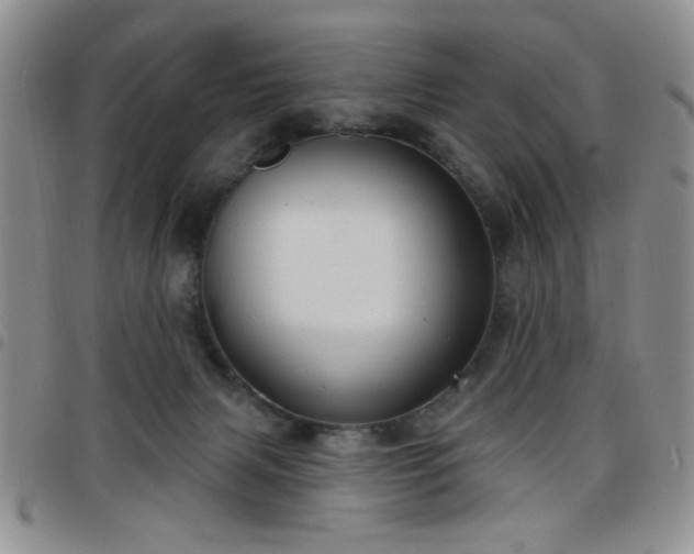 X0000098210079200804241331