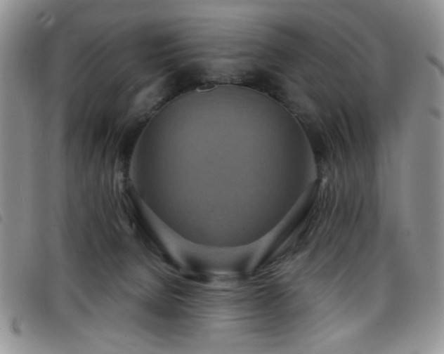 X0000098210080200804241331