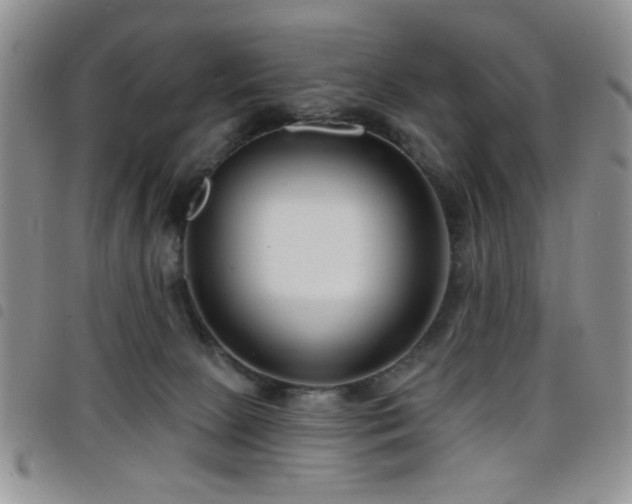 X0000098210081200804241331