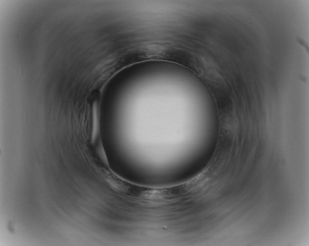 X0000098210082200804241331
