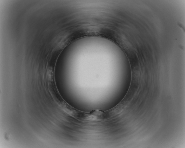 X0000098210083200804241331