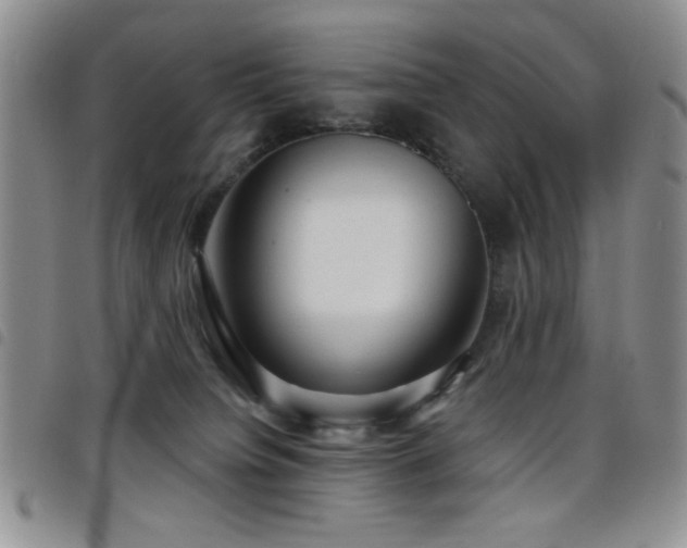 X0000098210084200804241331