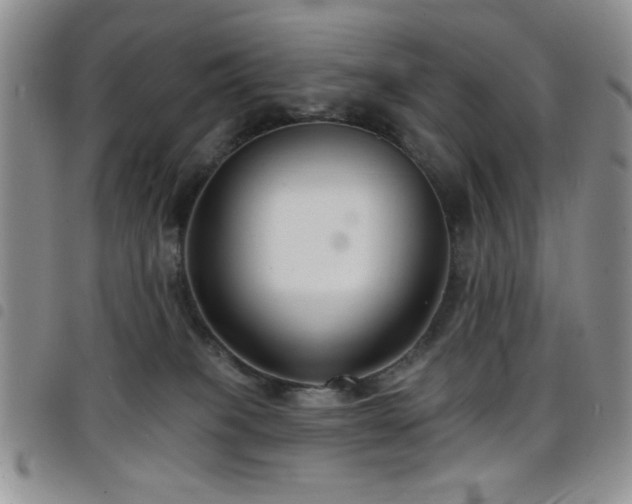 X0000098210085200804241331