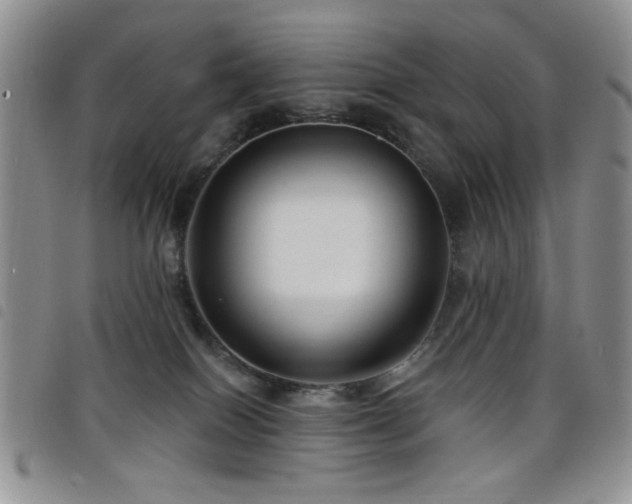 X0000098210086200804241331